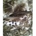 Костюм Cosmo-tex Трансформер детский FL1123-5 Костюм Cosmo-tex Трансформер детский FL1123-5