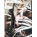 Брюки Cosmo-tex Рыбачок YL-036 детский Брюки Cosmo-tex Рыбачок YL-036 детский