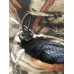 Брюки Cosmo-tex Рыбачок YL-036 детский Брюки Cosmo-tex Рыбачок YL-036 детский