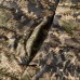 Куртка Harkila Vika Lady optifade ground forest Куртка Harkila Vika Lady optifade ground forest