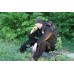 Куртка ХСН Active черный/хаки Куртка ХСН Active черный/хаки