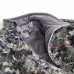 Куртка Sitka Fanatic optifade elevated Куртка Sitka Fanatic optifade elevated