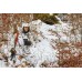 Куртка Seeland Polar realtree APS Куртка Seeland Polar realtree APS